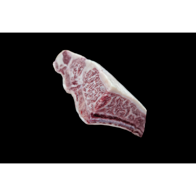 Short Beef Ribs 6+