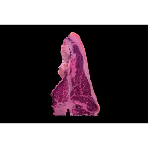Tbone OldCOw 6+