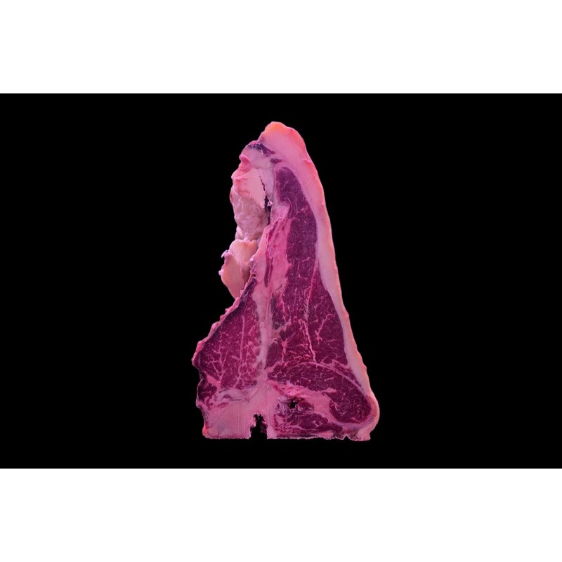 Tbone OldCOw 6+