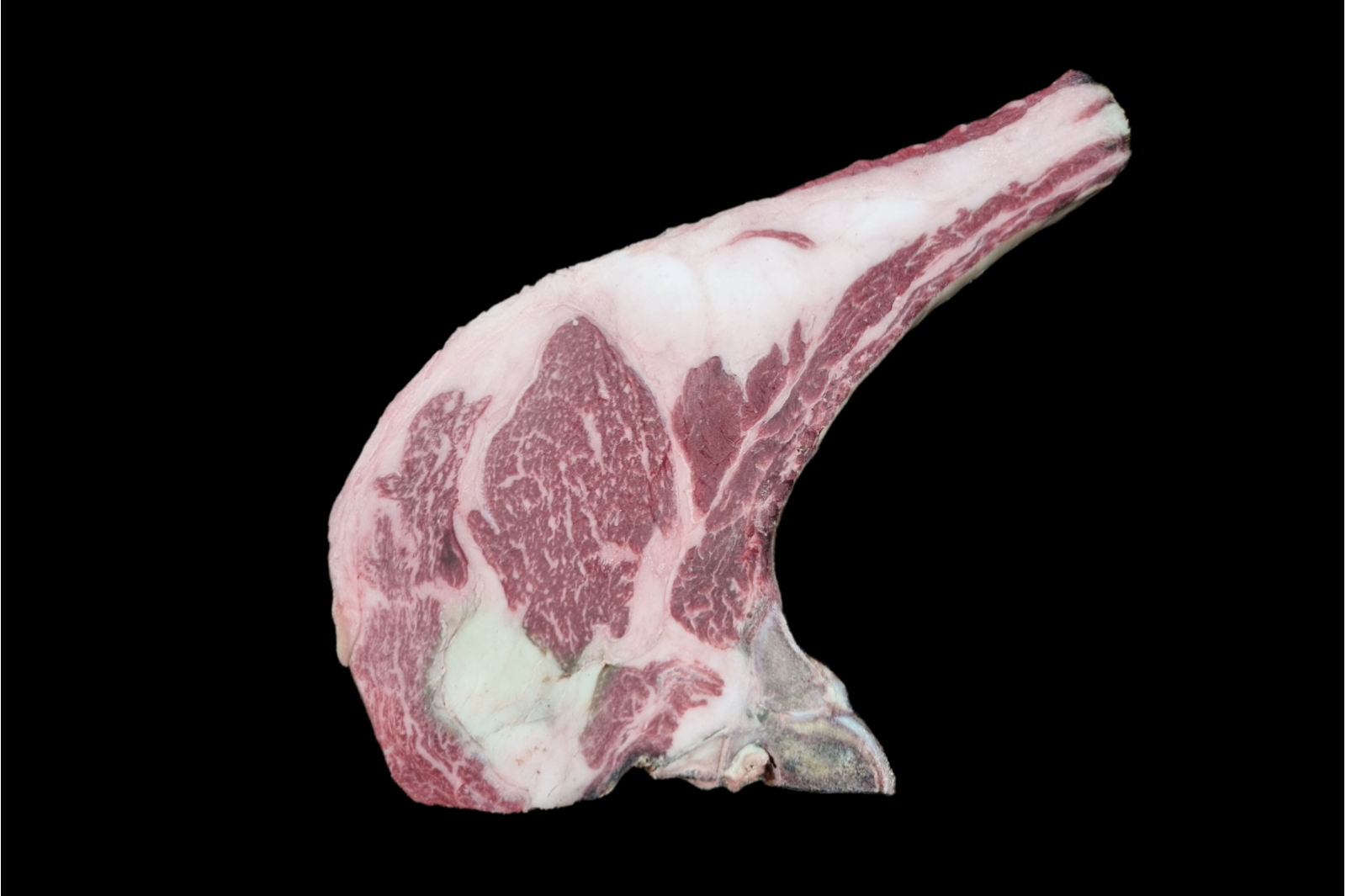 Beef Tallow