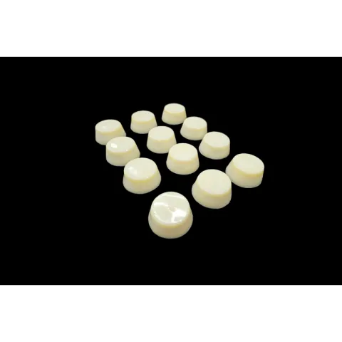 Wagyu Tallow Monoporzione 60gr