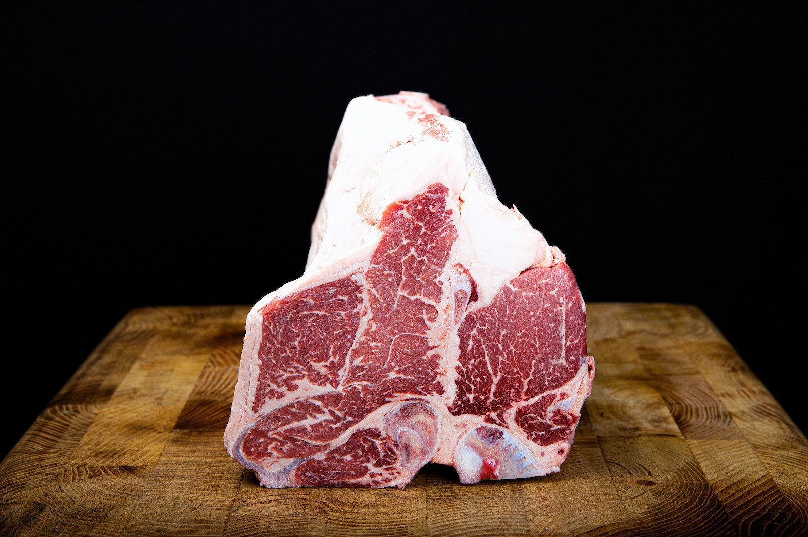 Fiorentina di Black Angus - Creekstone Farm