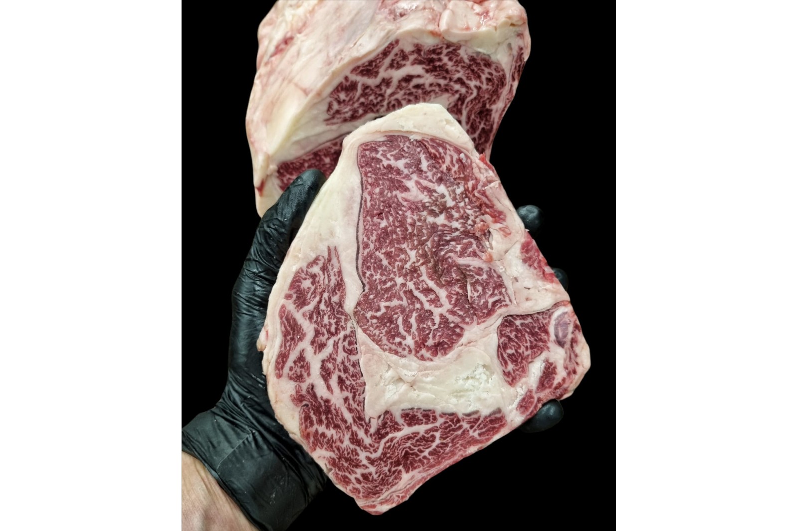 Ribeye Mazury 6+