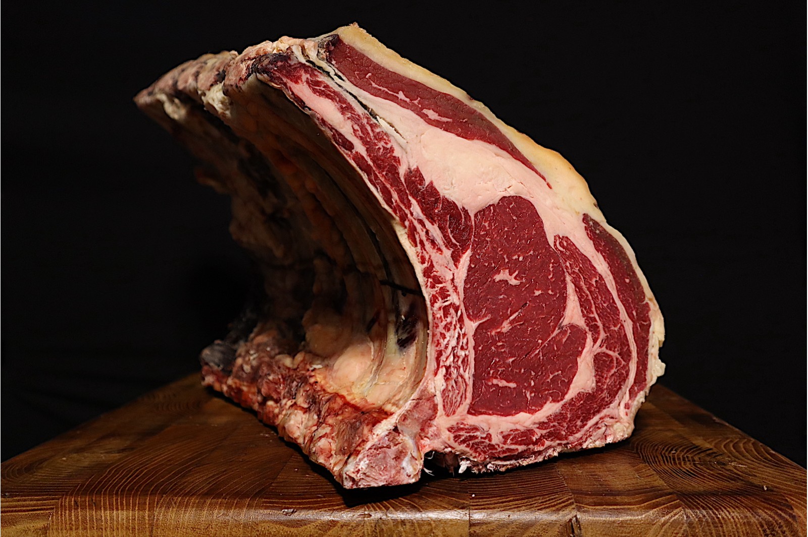 Costata Rubia Gallega Marella gallega